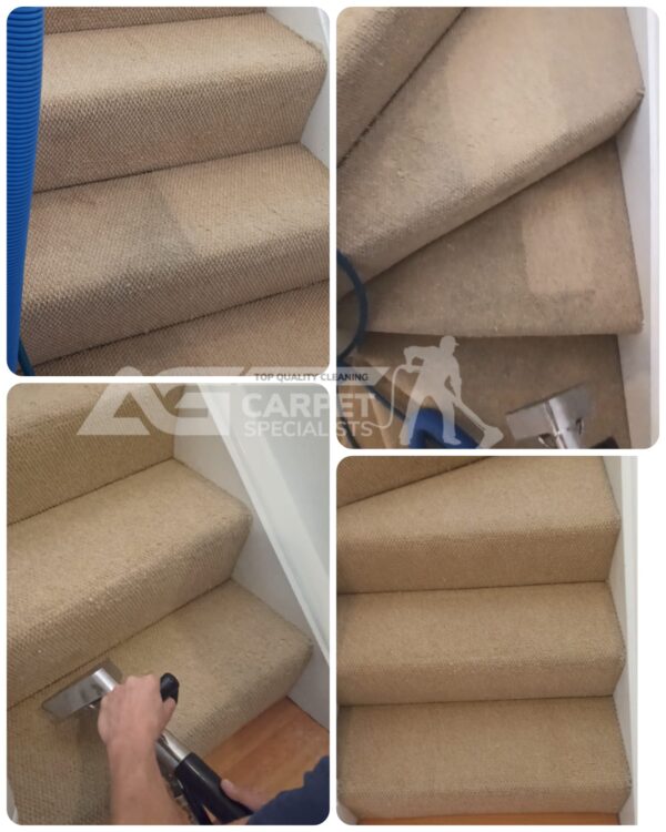 AG Carpet Specialists - Professional Clearing Services