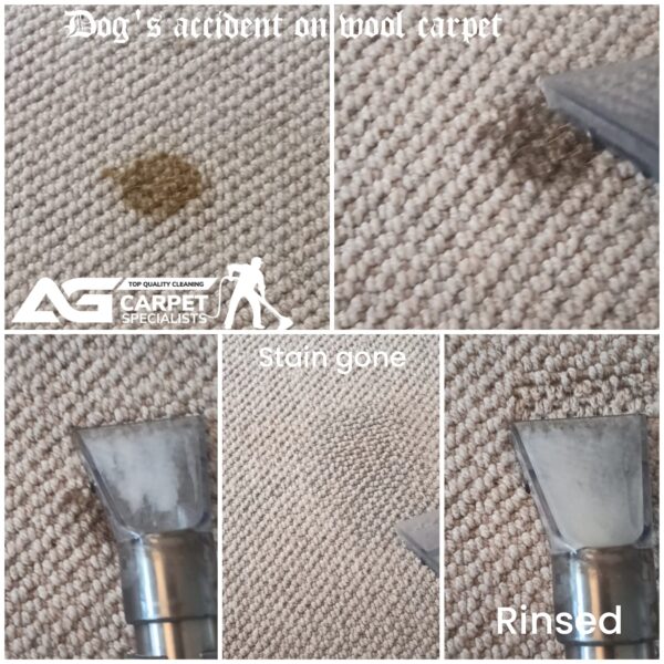 AG Carpet Specialists - Professional Clearing Services