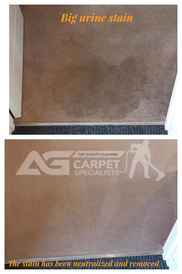 AG Carpet Specialists - Professional Clearing Services