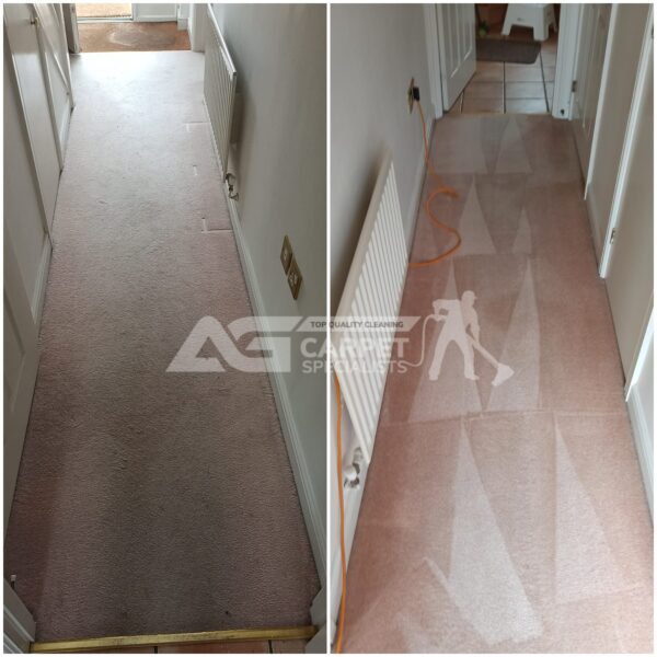 AG Carpet Specialists - Professional Clearing Services